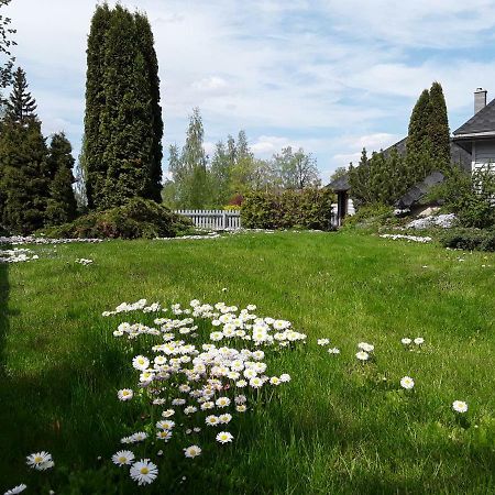 Vila Alejas Namins Jurgi Exteriér fotografie