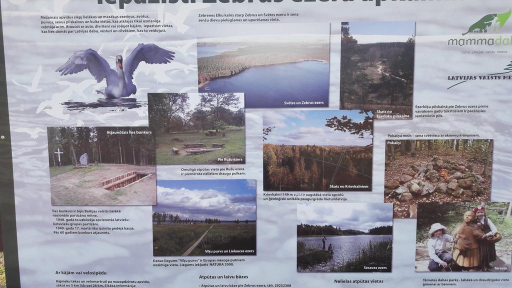 Vila Alejas Namins Jurgi Exteriér fotografie